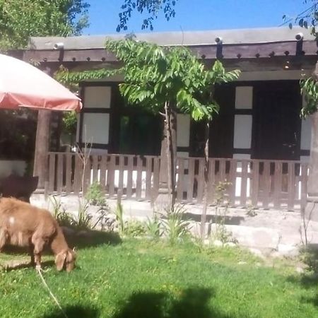 Resort Little Tibet Skardu Exterior foto